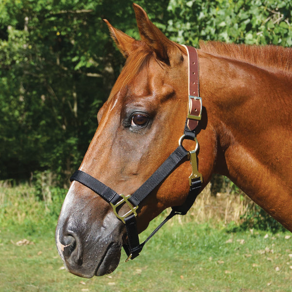 Country Pride Leather Replacement Halter Crown 23 inch